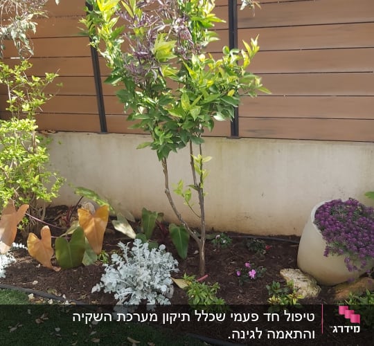 עצים ושיחים בגינה עם עציץ פרחים סגולים